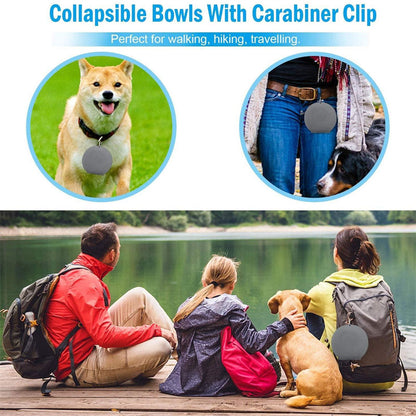 Convenient Rubber Foldable Double Bowl for Dogs and Cats - Perfect for Feeding and Travel!