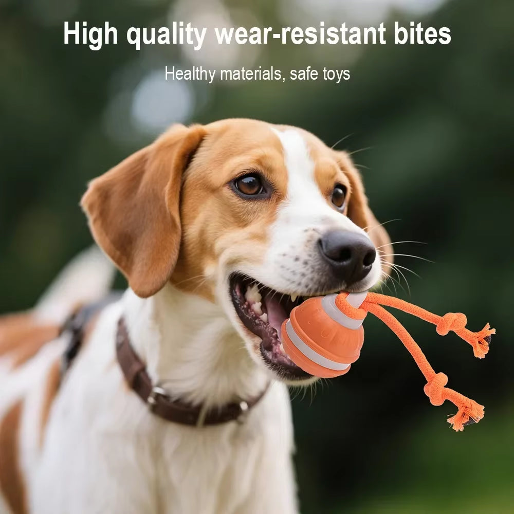 Engaging Interactive Rolling Ball Toy for Dogs and Cats – Rechargeable Smart Pet Playtime with Faux Tail!