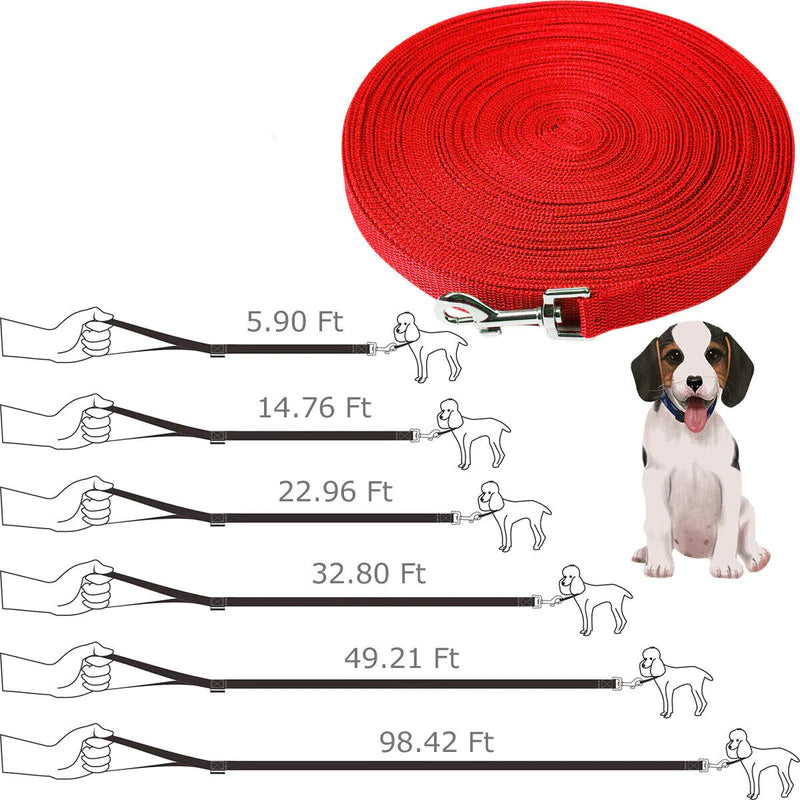 Ultimate Dog Leash for Training and Recall - Choose Your Length for Perfect Control!