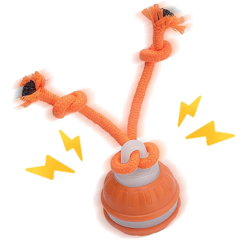 Engaging Interactive Rolling Ball Toy for Dogs and Cats – Rechargeable Smart Pet Playtime with Faux Tail!