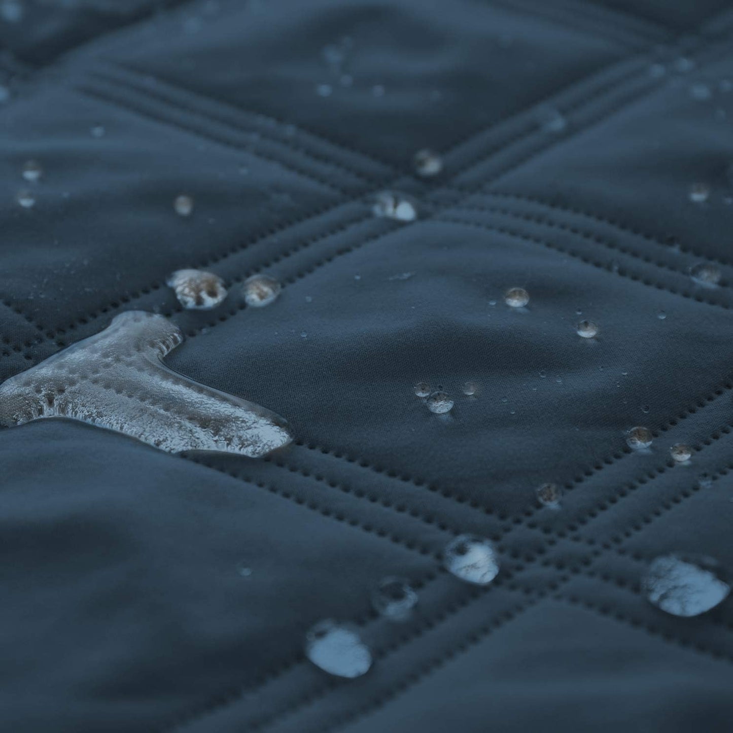 Premium Waterproof Dog Bed Cover and Pet Blanket with Anti-Slip Backing for Ultimate Furniture Protection