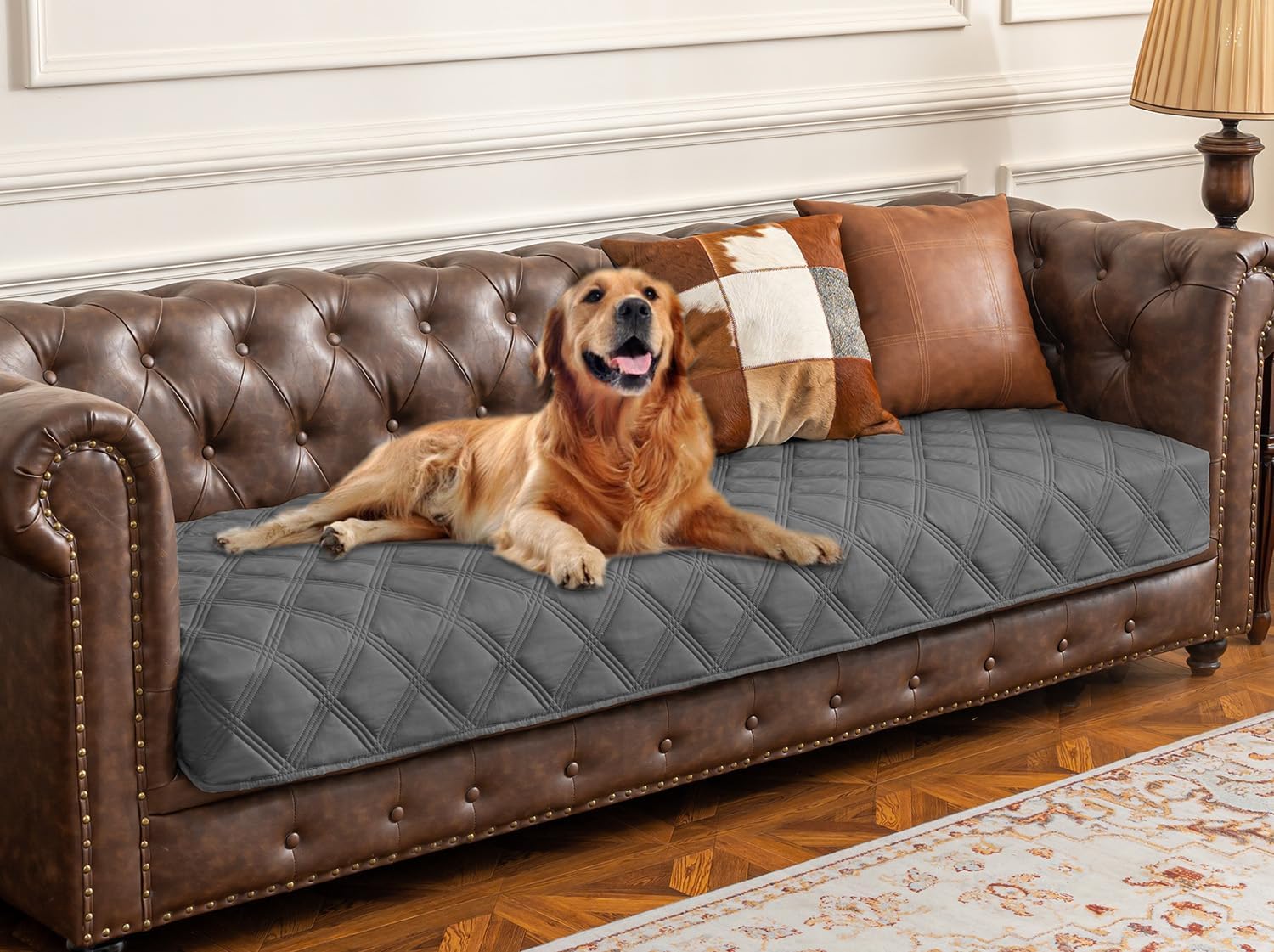 Premium Waterproof Dog Bed Cover and Pet Blanket with Anti-Slip Backing for Ultimate Furniture Protection