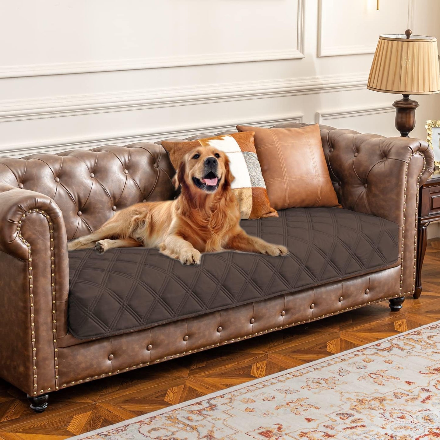 Premium Waterproof Dog Bed Cover and Pet Blanket with Anti-Slip Backing for Ultimate Furniture Protection