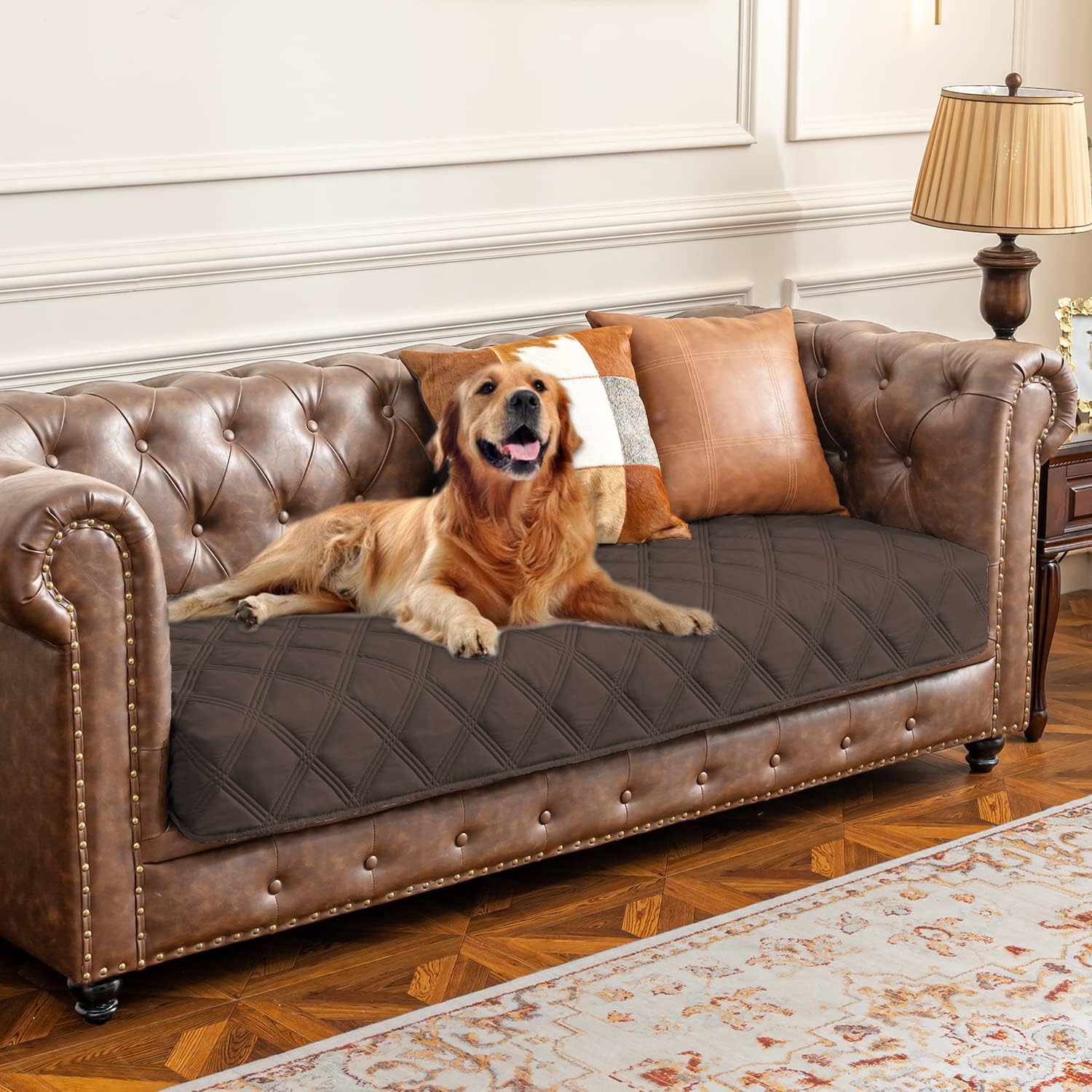 Premium Waterproof Dog Bed Cover and Pet Blanket with Anti-Slip Backing for Ultimate Furniture Protection