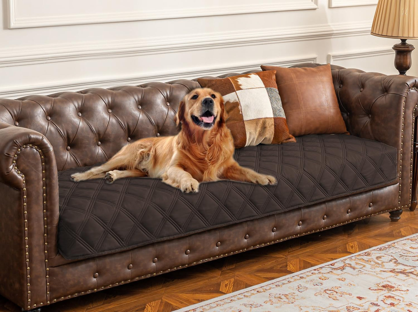 Premium Waterproof Dog Bed Cover and Pet Blanket with Anti-Slip Backing for Ultimate Furniture Protection