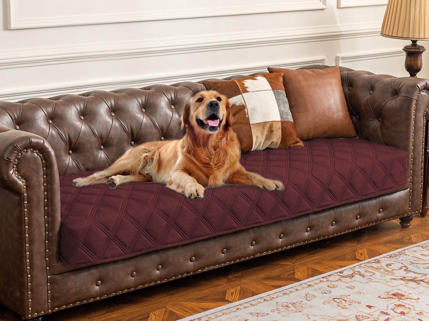 Premium Waterproof Dog Bed Cover and Pet Blanket with Anti-Slip Backing for Ultimate Furniture Protection