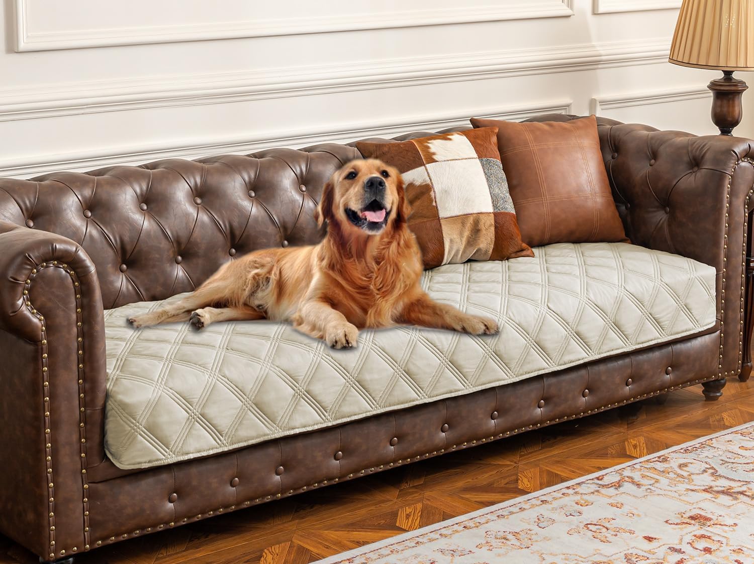 Premium Waterproof Dog Bed Cover and Pet Blanket with Anti-Slip Backing for Ultimate Furniture Protection