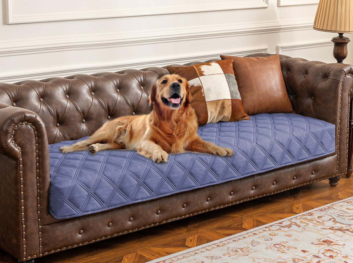 Premium Waterproof Dog Bed Cover and Pet Blanket with Anti-Slip Backing for Ultimate Furniture Protection