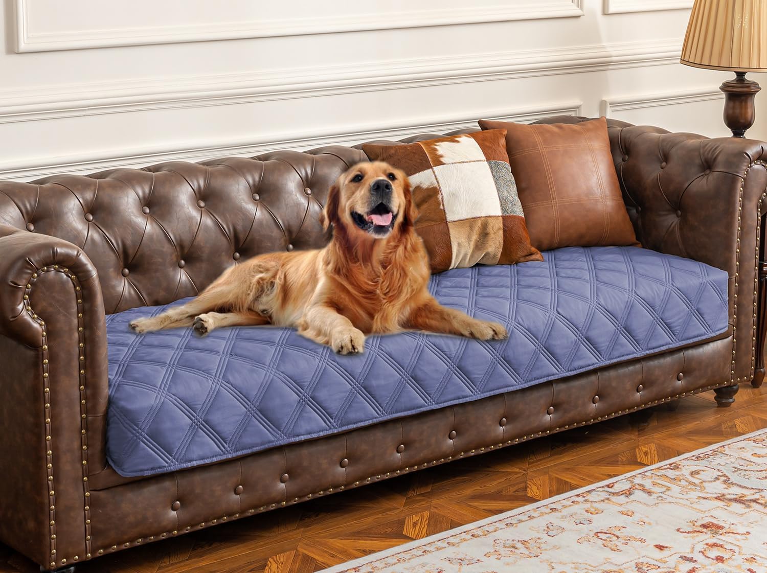 Premium Waterproof Dog Bed Cover and Pet Blanket with Anti-Slip Backing for Ultimate Furniture Protection