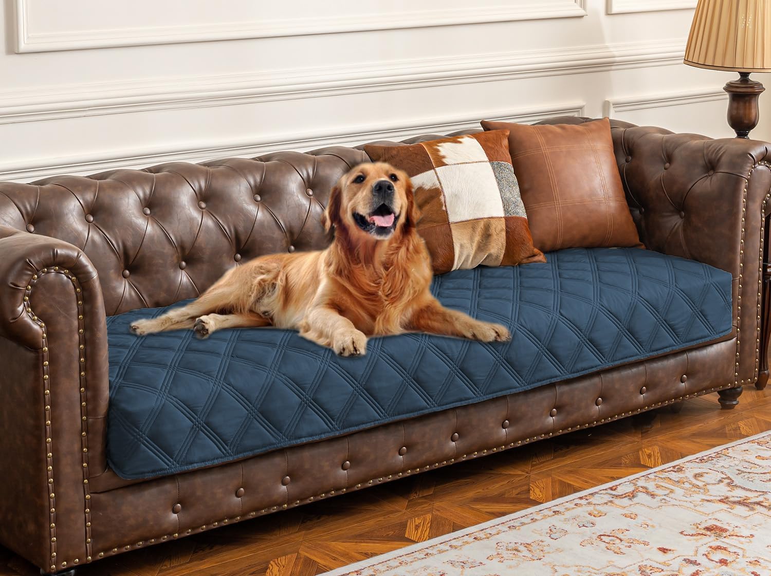 Premium Waterproof Dog Bed Cover and Pet Blanket with Anti-Slip Backing for Ultimate Furniture Protection