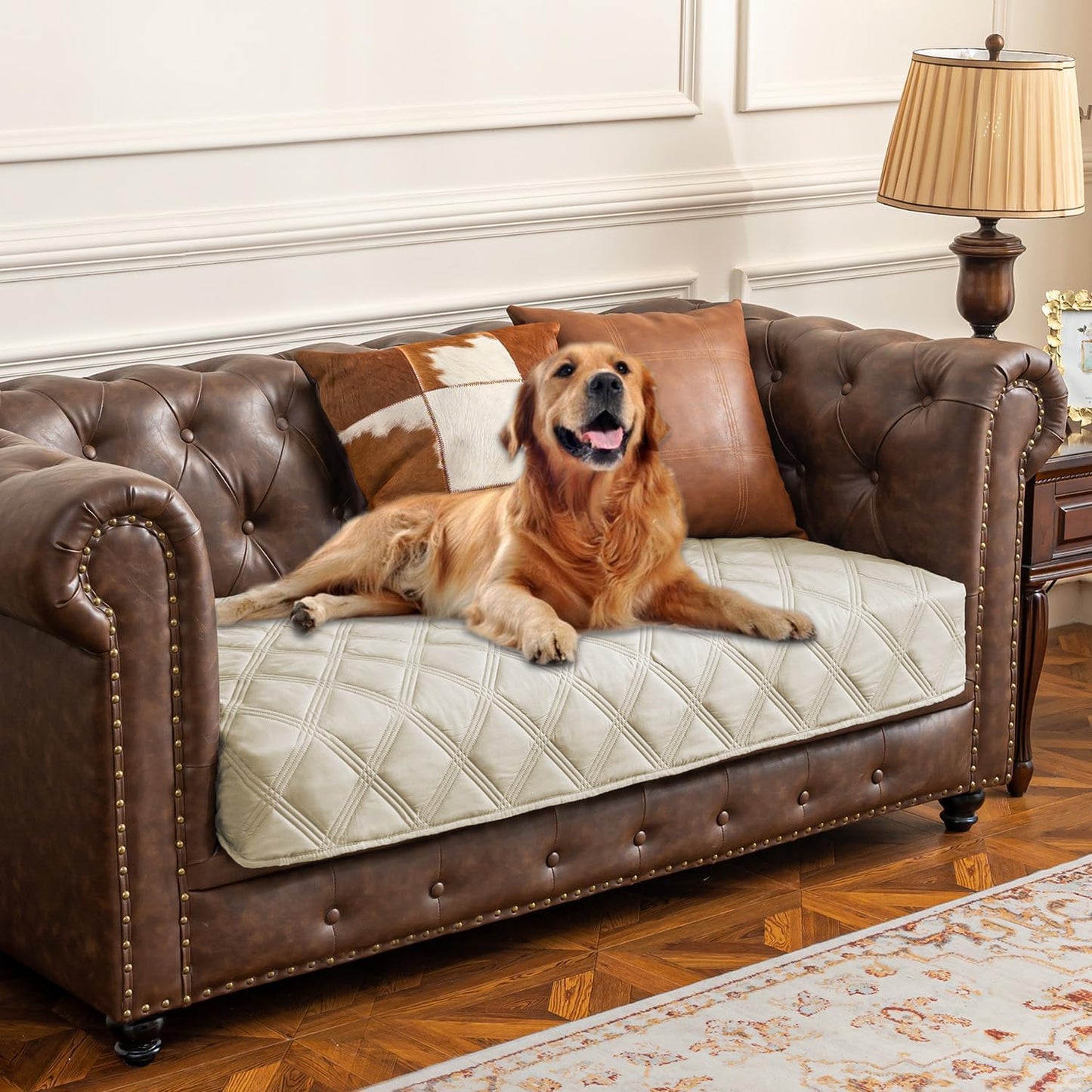 Premium Waterproof Dog Bed Cover and Pet Blanket with Anti-Slip Backing for Ultimate Furniture Protection