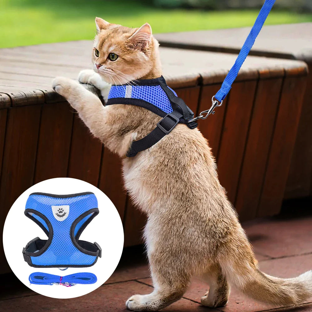 Ultimate Adjustable Pet Harness for Dogs and Cats - Reflective Control Vest with Leash in Multiple Sizes