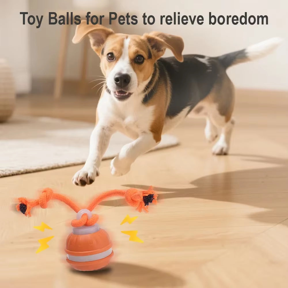 Engaging Interactive Rolling Ball Toy for Dogs and Cats – Rechargeable Smart Pet Playtime with Faux Tail!