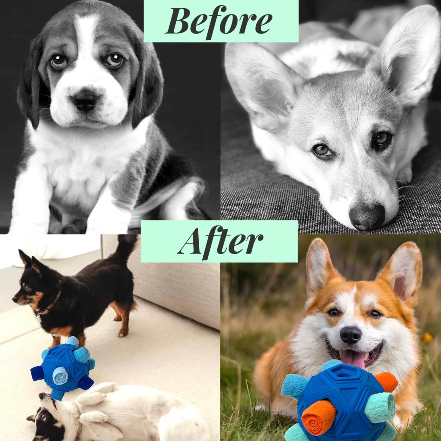 Interactive Snuffle Ball for Dogs - Unbreakable Chew Toy and Treat Dispenser for Fun Foraging Play