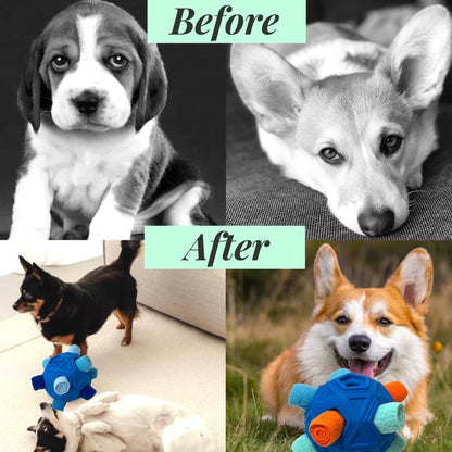 Interactive Snuffle Ball for Dogs - Unbreakable Chew Toy and Treat Dispenser for Fun Foraging Play