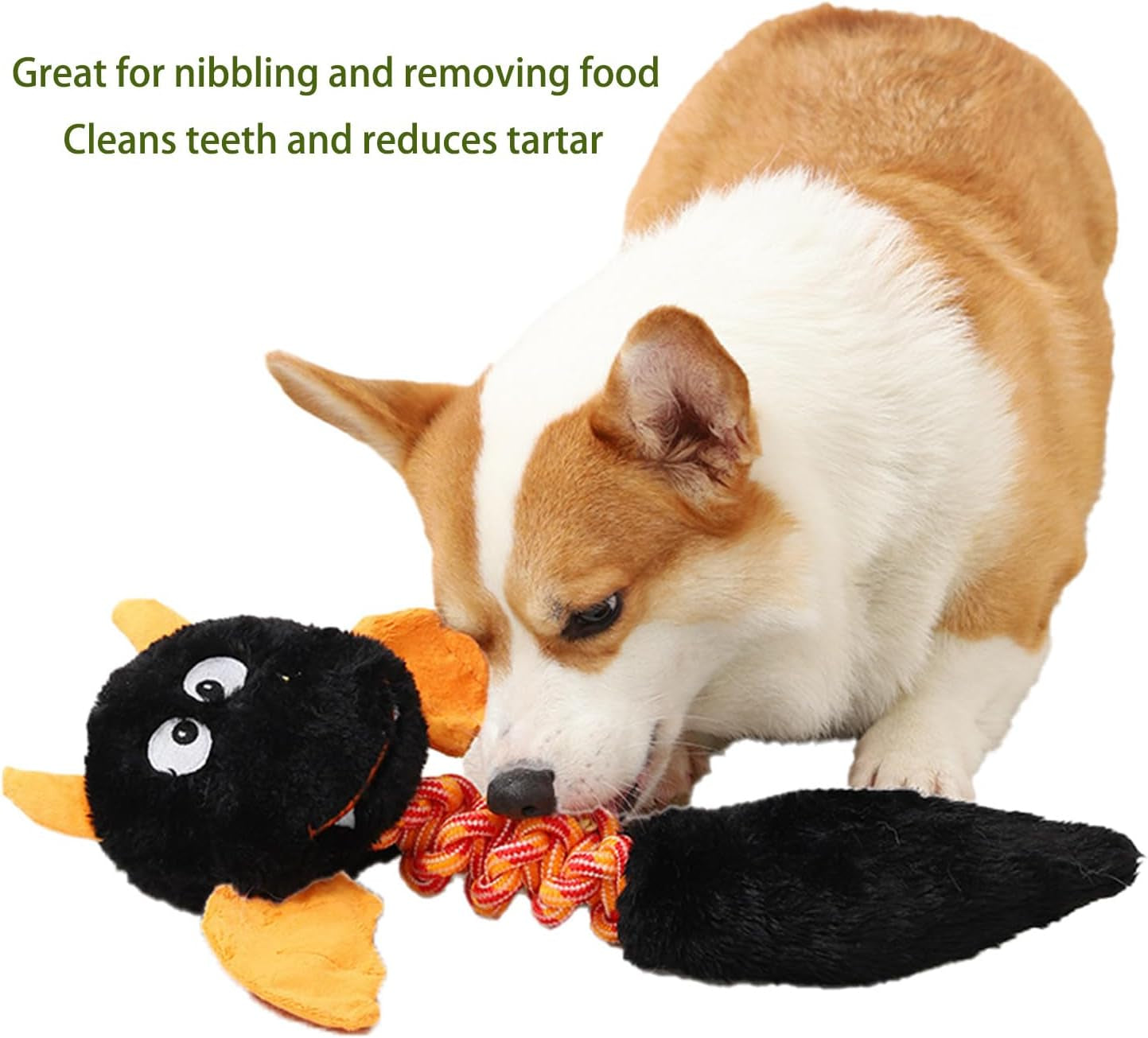 Plush Squeaky Dog and Cat Toy Set - Perfect for Large and Small Pets!