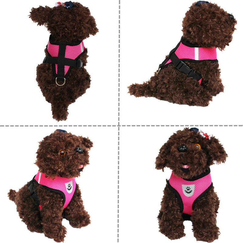Ultimate Adjustable Pet Harness for Dogs and Cats - Reflective Control Vest with Leash in Multiple Sizes