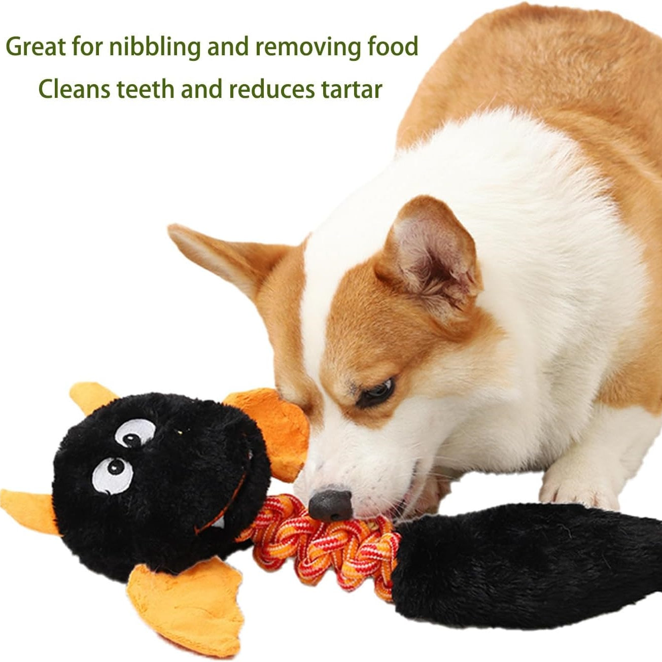Plush Squeaky Dog and Cat Toy Set - Perfect for Large and Small Pets!