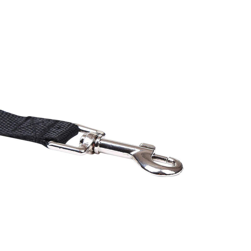 Ultimate Dog Leash for Training and Recall - Choose Your Length for Perfect Control!