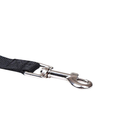 Ultimate Dog Leash for Training and Recall - Choose Your Length for Perfect Control!
