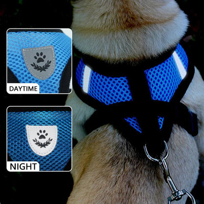 Ultimate Adjustable Pet Harness for Dogs and Cats - Reflective Control Vest with Leash in Multiple Sizes